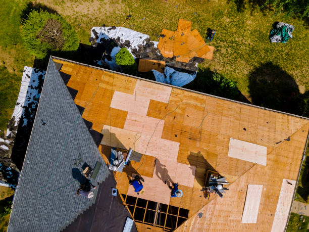 Best Roof Gutter Cleaning  in Olton, TX