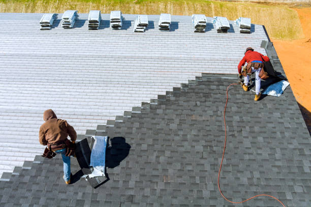 Best Metal Roofing Contractor  in Olton, TX