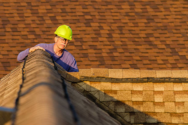 Roof Gutter Cleaning in Olton, TX