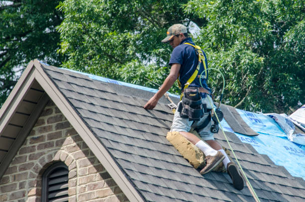 Roof Waterproofing Services in Olton, TX